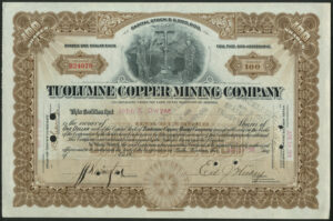 USA: Tuolumne Copper Mining Co., 100 shares of $1 each, 1916-1918