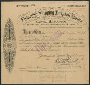 Llewellyn Shipping Co. Ltd., £1 shares, 1920 - Image 1