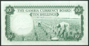 Gambia, Currency Board, 10 shillings, series A, [1964], UNC - Image 2