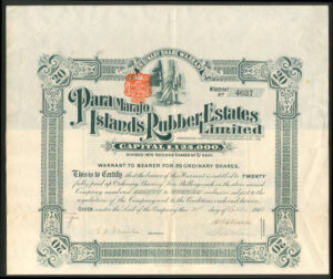 Brazil, Para (Marajo) Islands Rubber Estates Limited, 20 shares of 5 shillings, 1910